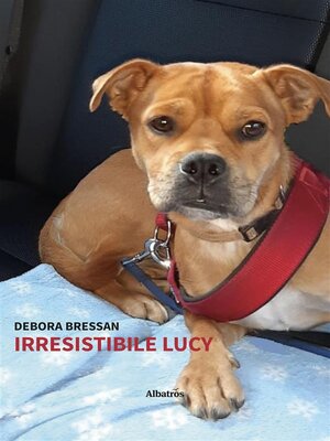 cover image of Irresistibile Lucy
